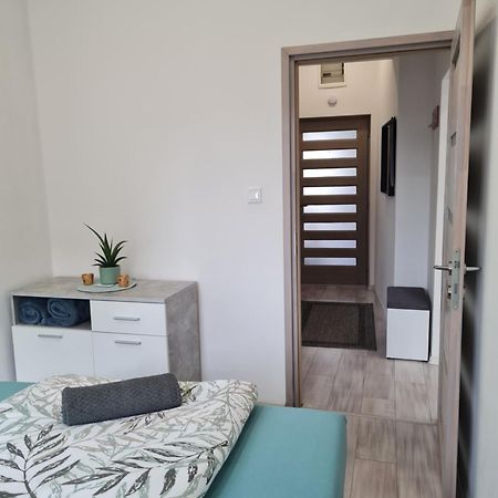 Napfeny Apartman سيغيد المظهر الخارجي الصورة