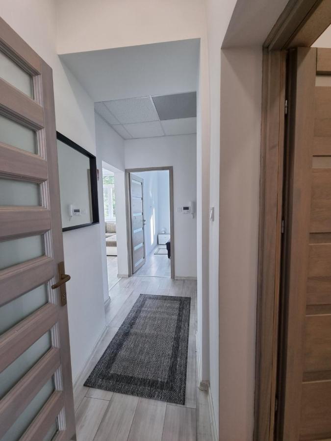 Napfeny Apartman سيغيد المظهر الخارجي الصورة
