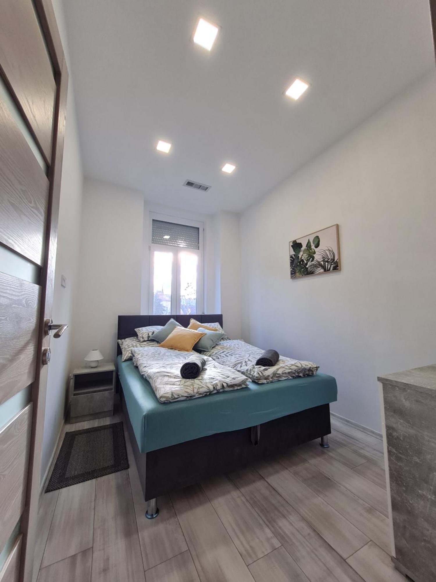 Napfeny Apartman سيغيد المظهر الخارجي الصورة